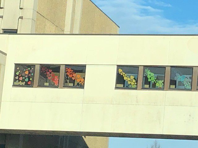 Gundersen Health System